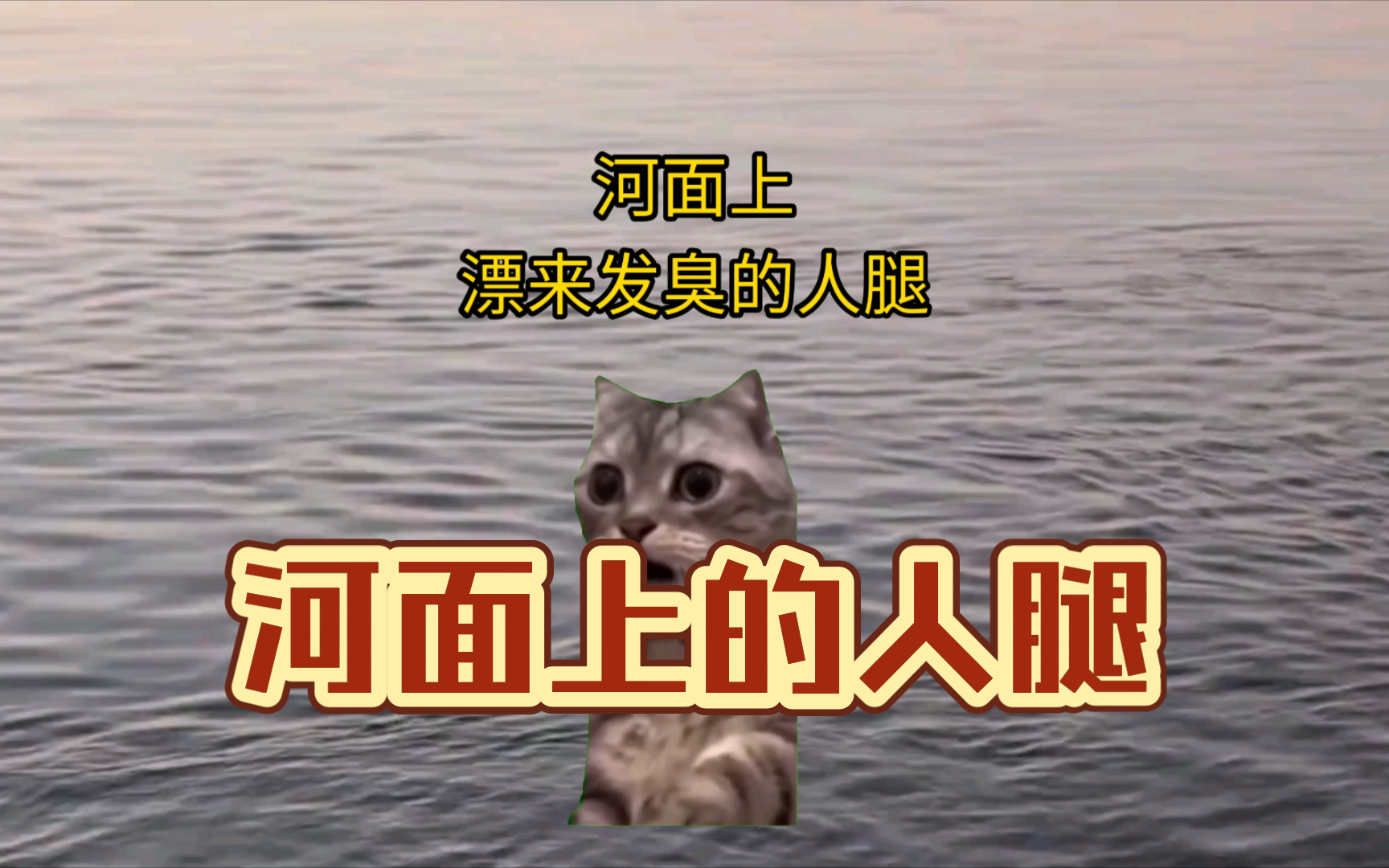 [图]【猫meme】猫meme讲真实案件——河面上的人腿