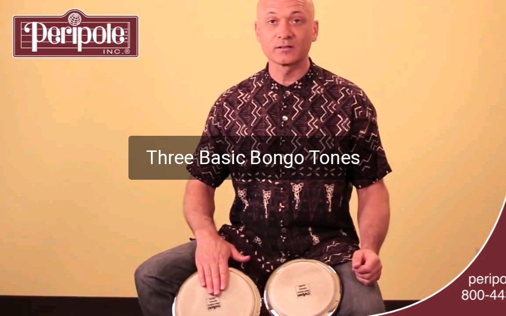 【邦戈鼓教学】邦戈的三个基础音调 Three Basic Bongo Tones哔哩哔哩bilibili