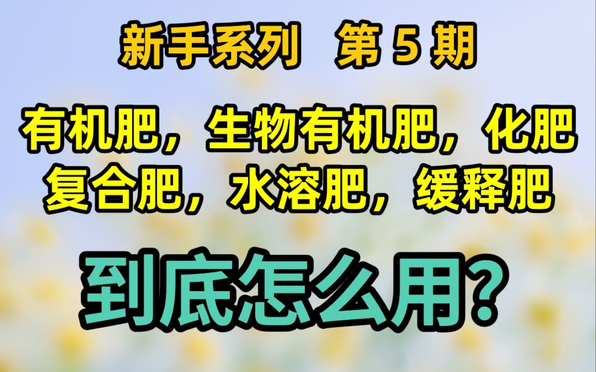 肥料全总结!告诉你最实惠有效的施肥方法哔哩哔哩bilibili