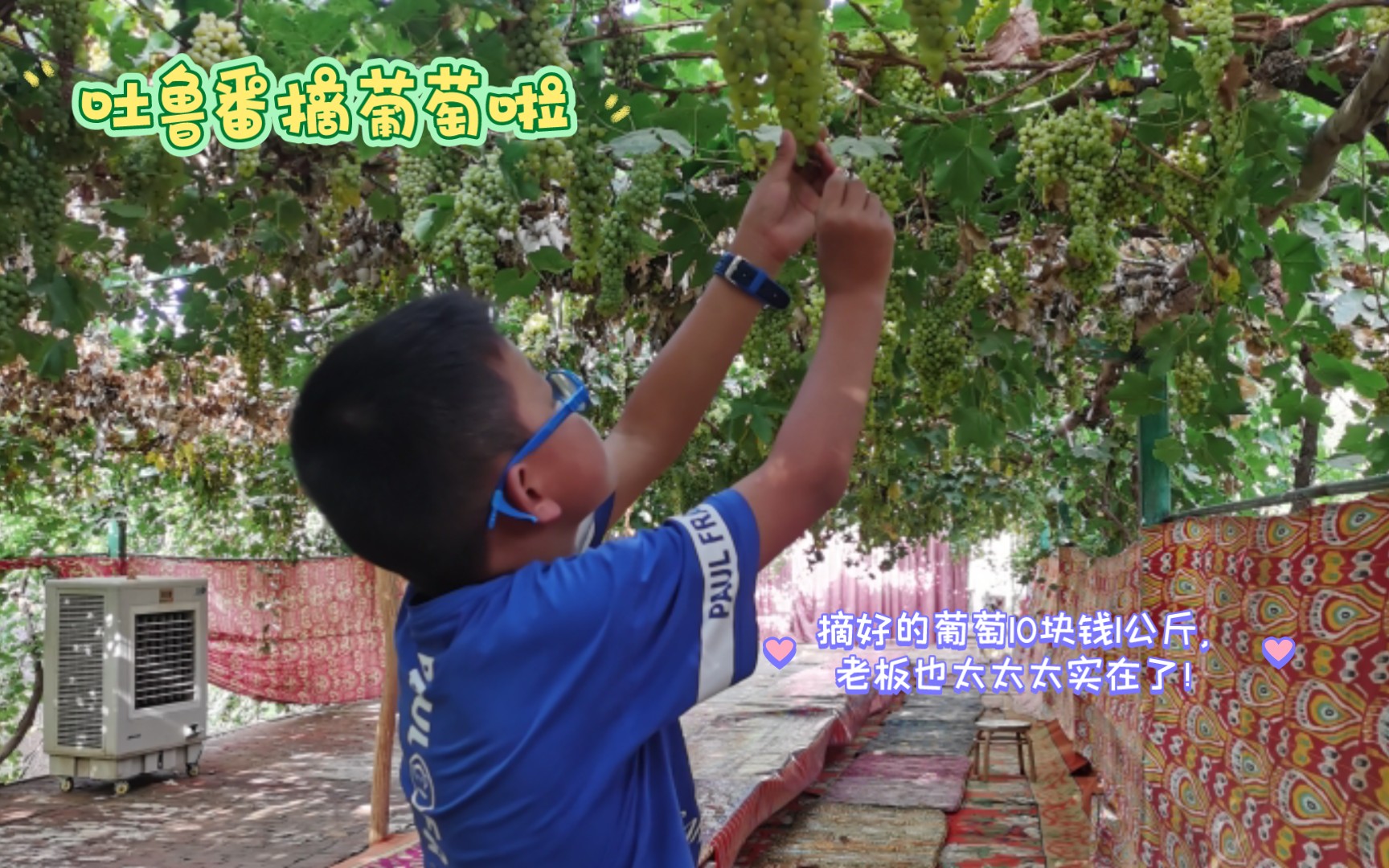 新疆遊day13:吐魯番,高溫49.5℃的一天,坎兒井,葡萄溝