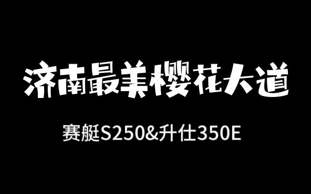 赛艇S250升仕350E小跑济南樱花大道哔哩哔哩bilibili