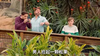 男人捡起一颗松果，对着老虎屁股就砸了过去，而他这么做的目的，只为让侄子拍一张老虎的照片