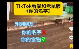 Download Video: TikTok 看猫和老鼠版《你的名字》，中国网友太有才了🤣