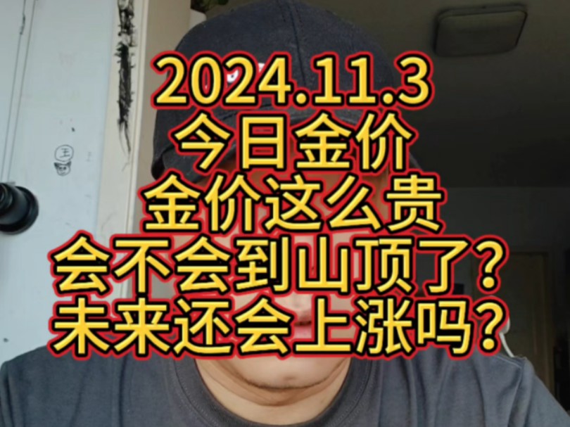 2024.11.3 今日金价金价这么贵了会不会到山顶了?未来还会继续上涨吗?哔哩哔哩bilibili