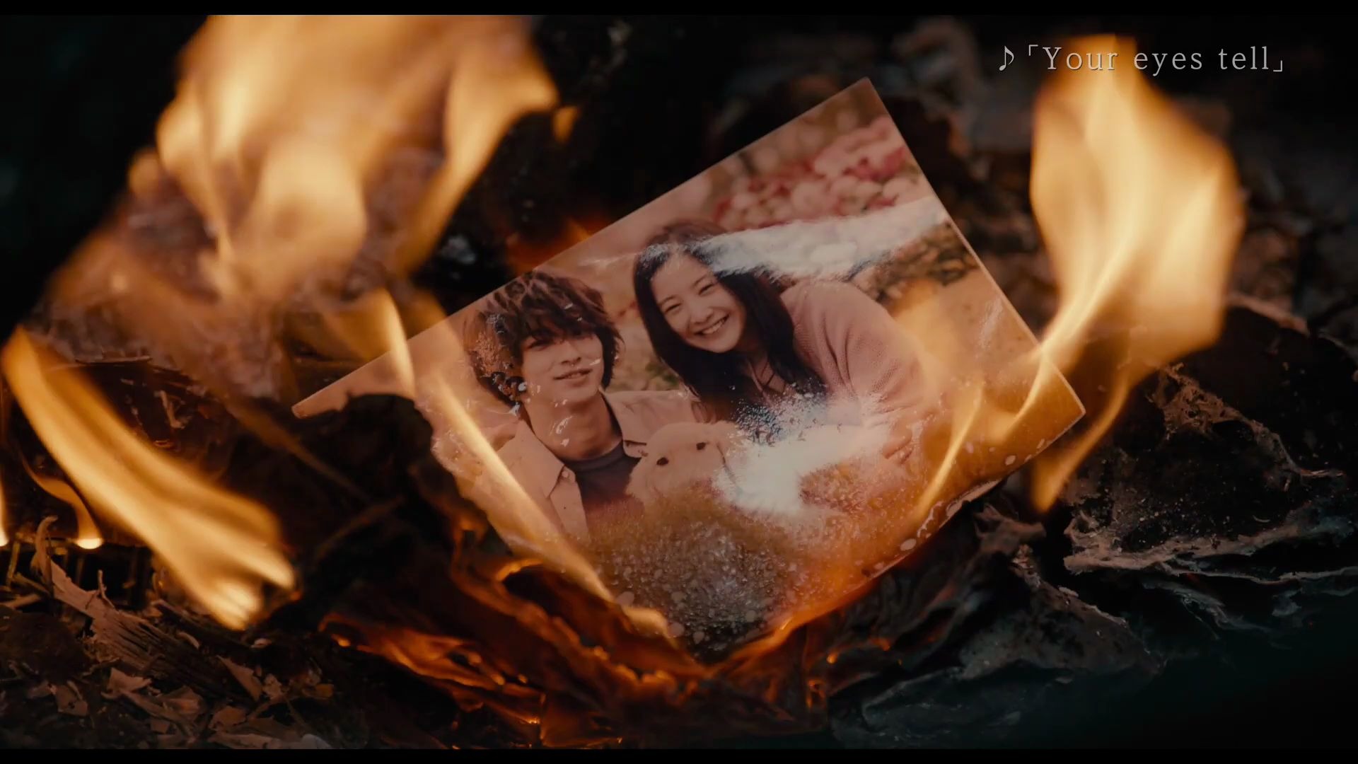 电影『你的眼睛在追问』特別映像