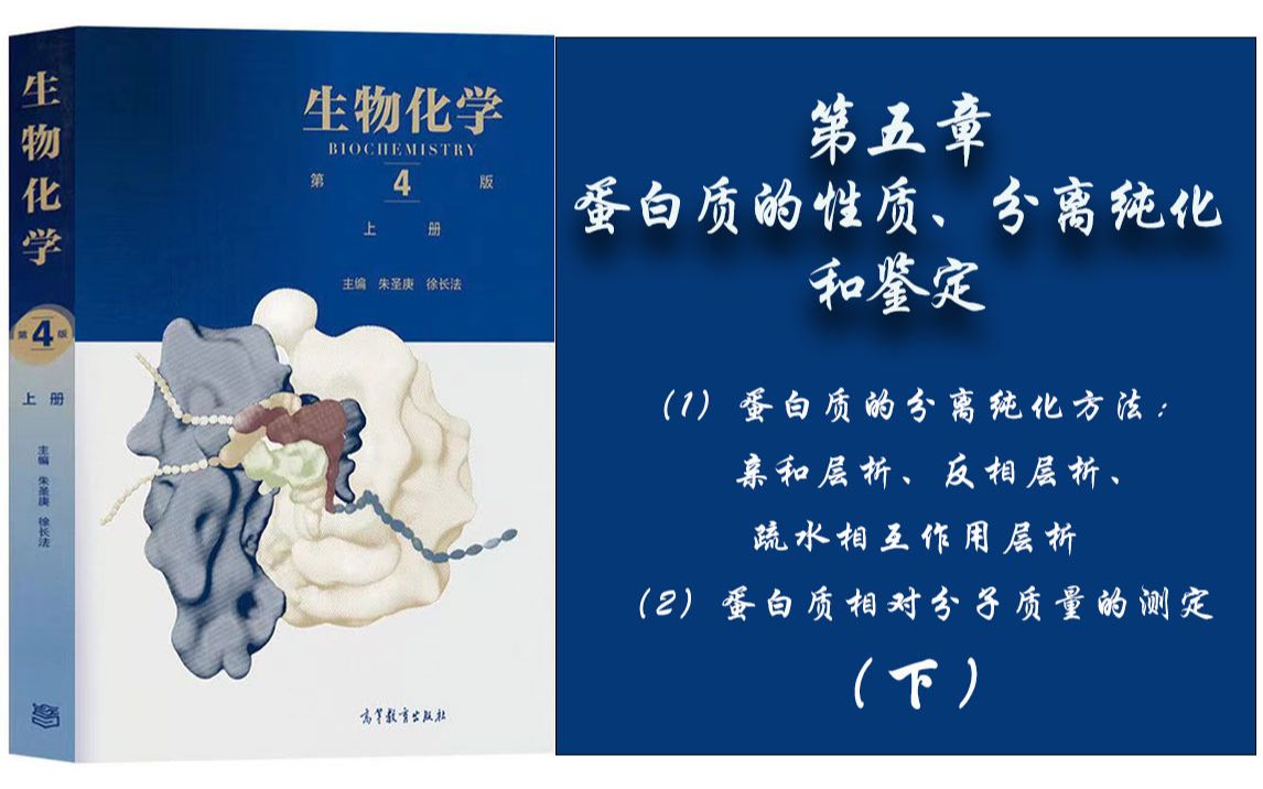 35.生物化学  第五章 (1)蛋白质的分离纯化方法:亲和层析、疏水相互作用层析、反相层析;(2)蛋白质相对分子质量的测定  下哔哩哔哩bilibili