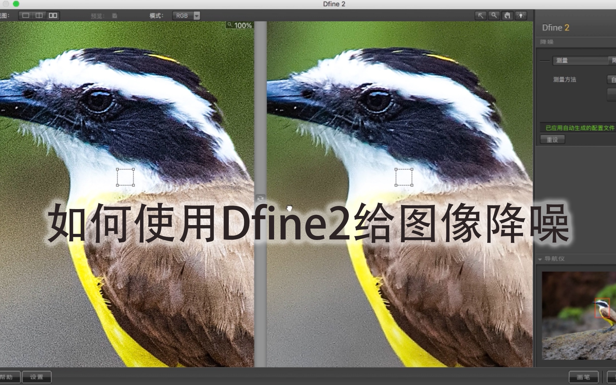如何使用Nik滤镜的Dfine2给图像降噪哔哩哔哩bilibili