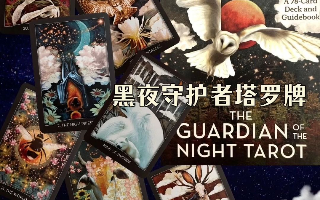 Guardian Of the Night Tarot黑夜守护者塔罗牌哔哩哔哩bilibili