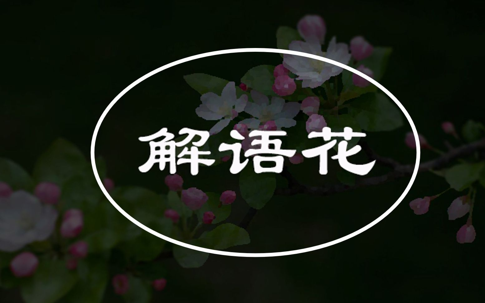 [图]【植物花卉科普】三分钟带你了解海棠花呀~