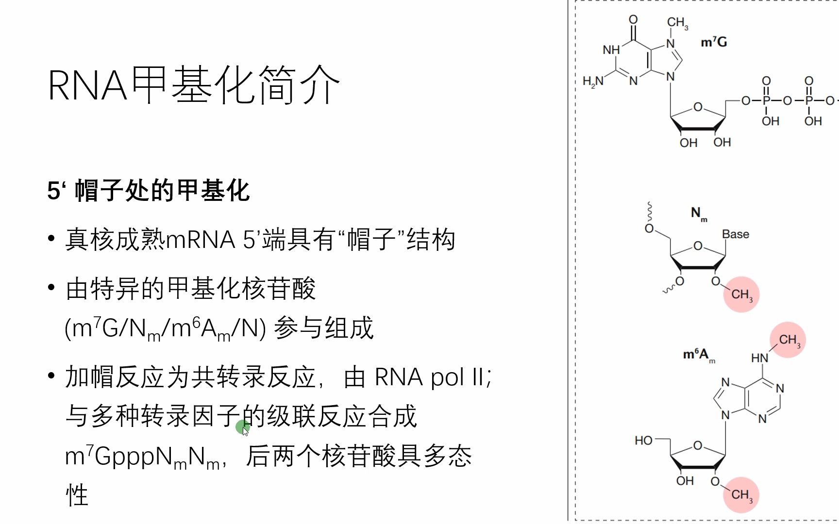 m6A甲基化Reading, writing and erasing mRNA methylation哔哩哔哩bilibili