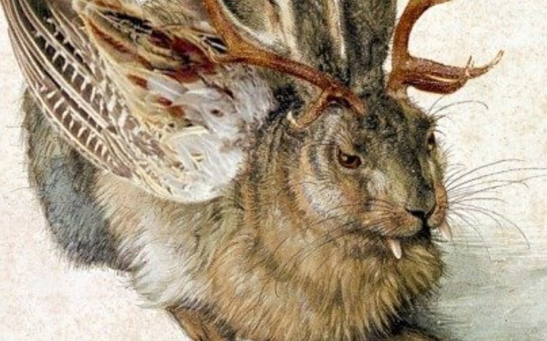jackalope世界上最可怕的兔子背后的真相