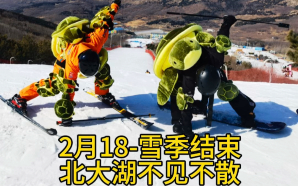 超进化…变身最强乌龟超人…旺仔的雪季开始了…2月18日至雪季结束…北大湖滑雪场我们不见不散…#这才是滑雪人的出场方式 #一种很新的玩雪方式 #何家...