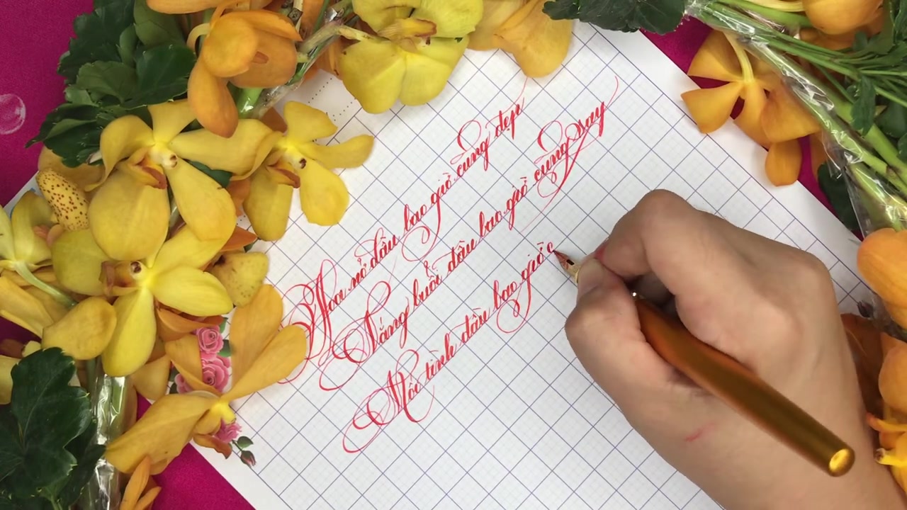 书写越南语ngh67chbútchútth00ib55ncóbi65tm65ubútn