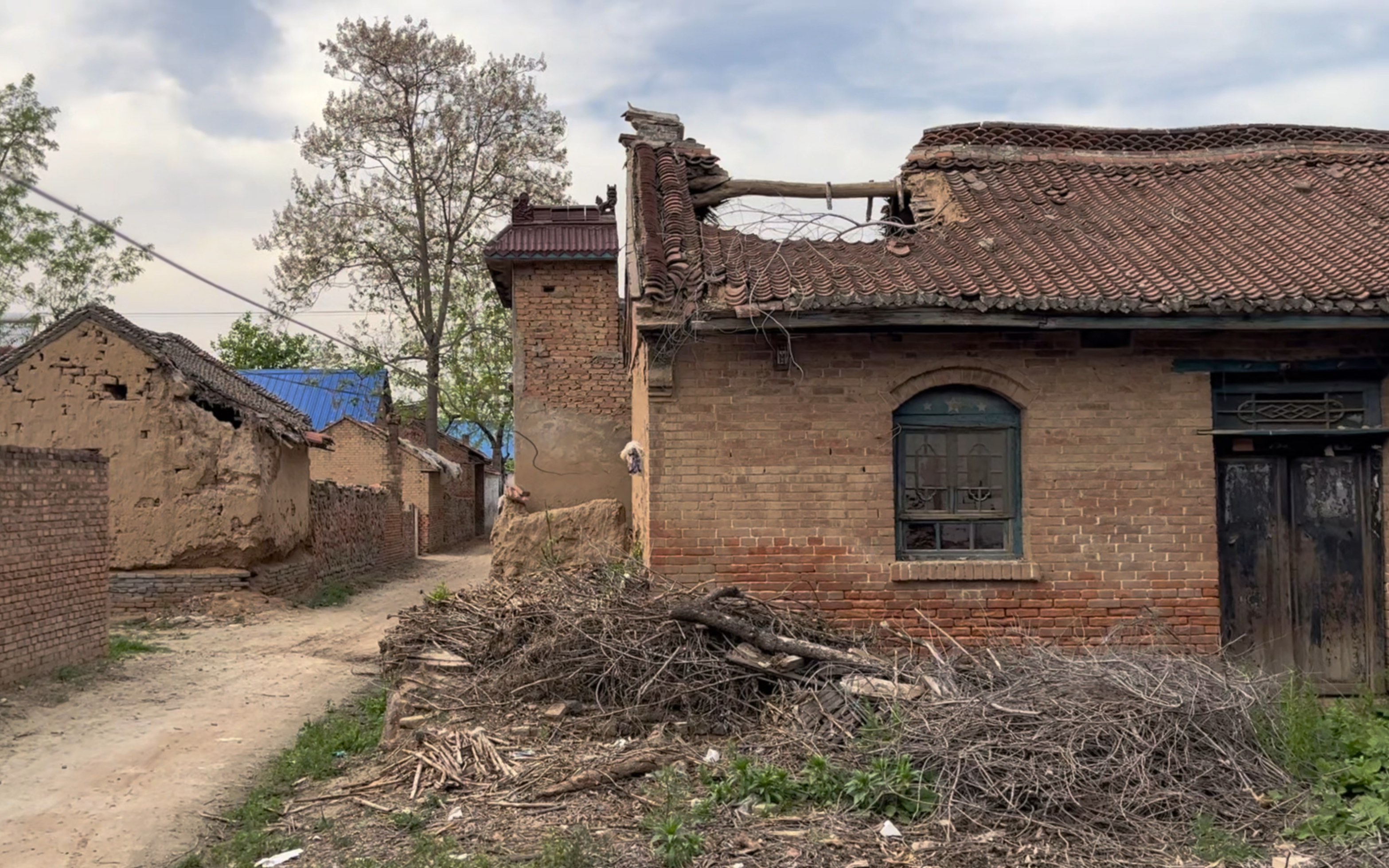 鲁西南乡村风光