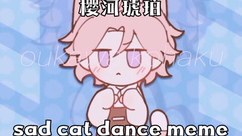 sad cat dance。_哔哩哔哩_bilibili