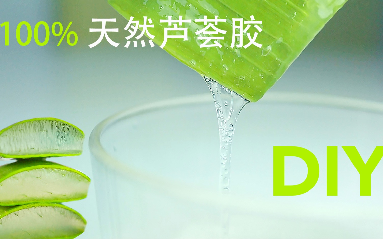 自制 天然芦荟胶(100%纯度)DIY + 护肤护发步骤哔哩哔哩bilibili