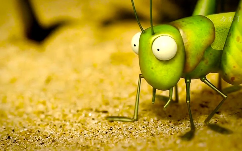 出来混迟早要还的!#昆虫世界 #昆虫总动员 #瓢虫