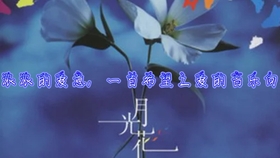 月光花 Black Jack Mix Janne Da Arc 圣女贞德 哔哩哔哩 つロ干杯 Bilibili