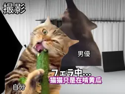 Video herunterladen: 【熟肉】在南桐片制作公司打工的日常（日常篇） | 猫meme