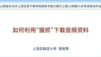 利用“猫抓”下载音频