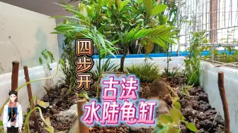 Download Video: 不用设备的水陆龟缸怎么布置？无设备一样玩水陆缸，古法水陆龟缸制作教程，四步开水陆龟缸过程。无电不用过滤器，火山石古法水陆缸开缸步骤和注意事项，带产蛋池的古法水陆