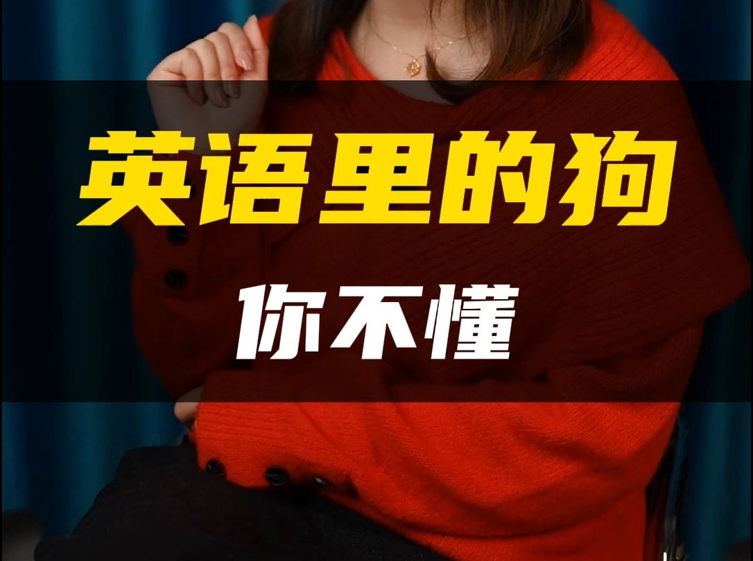 英语里的“狗”竟然有这么多种说法哔哩哔哩bilibili