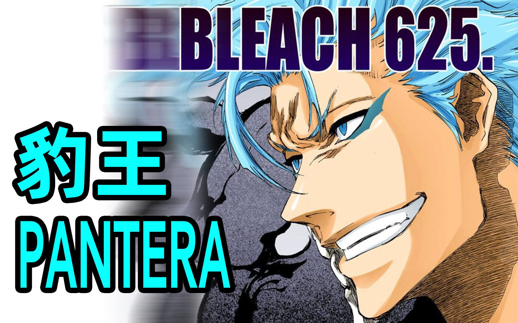 猫叔说漫死神千年血战p48豹王