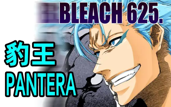 六尾猫yui的个人空间 哔哩哔哩 Bilibili