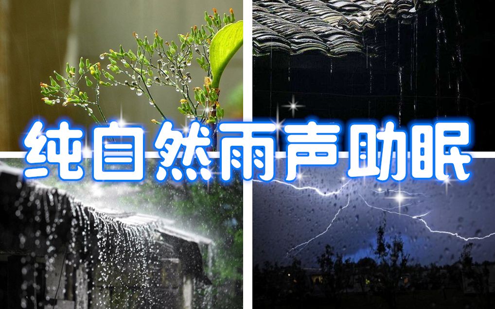 【尝试向】安眠向:纯雨声学习,助眠,小雨 中雨 雷雨_哔哩哔哩 (゜-゜)