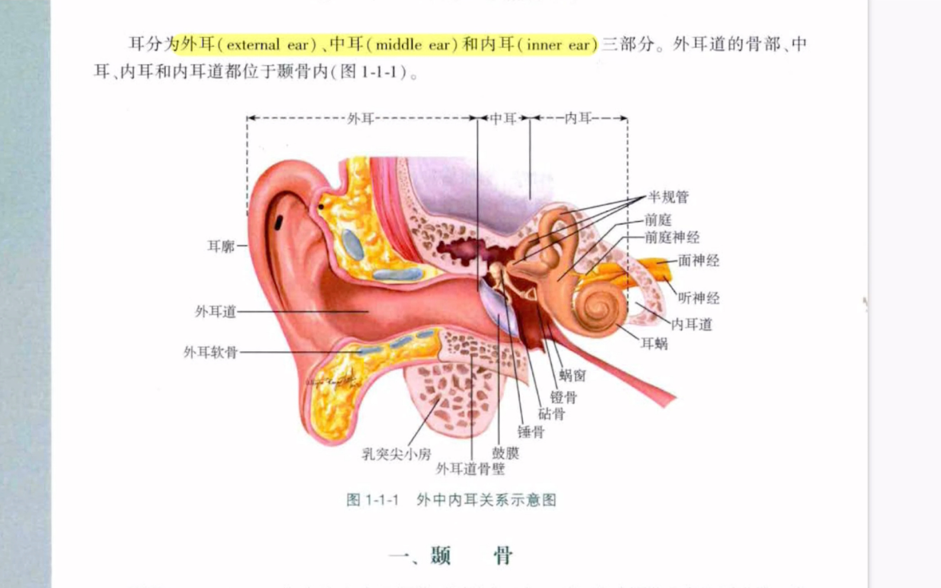 耳鼻喉专硕/学术垃圾自救路/1哔哩哔哩bilibili