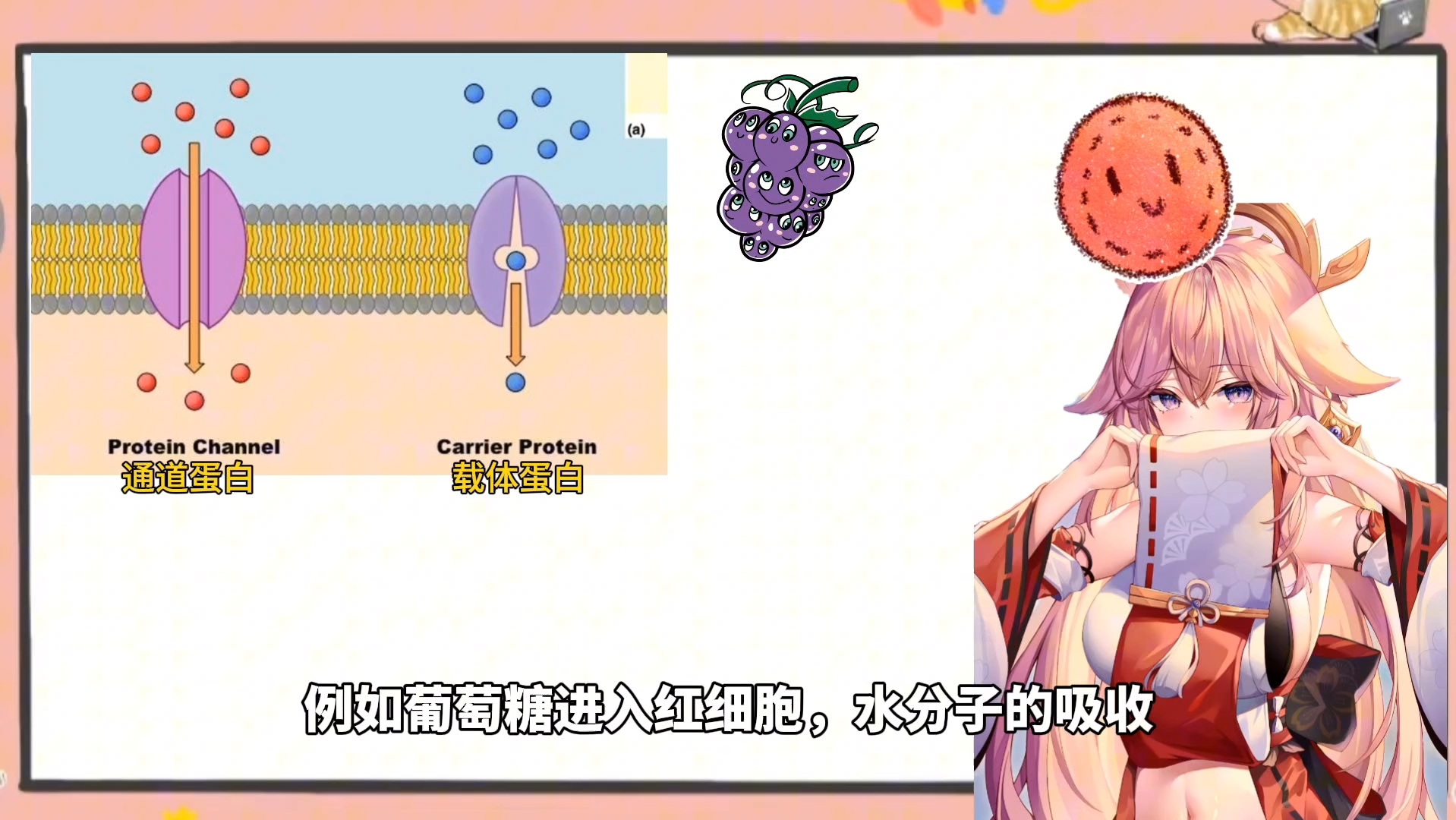 探索生命科学的奥秘:协助扩散详解!哔哩哔哩bilibili