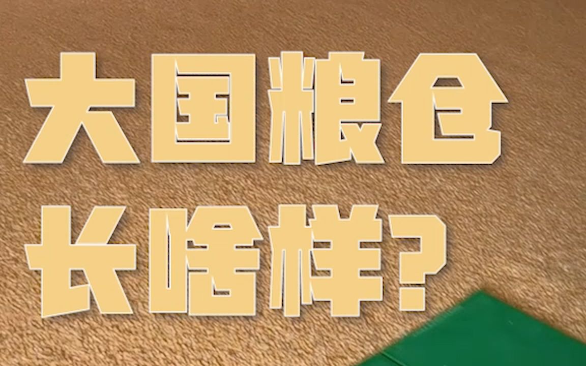 [图]大国粮仓长啥样？中央储备粮丽水直属库保管员一口清说给你听