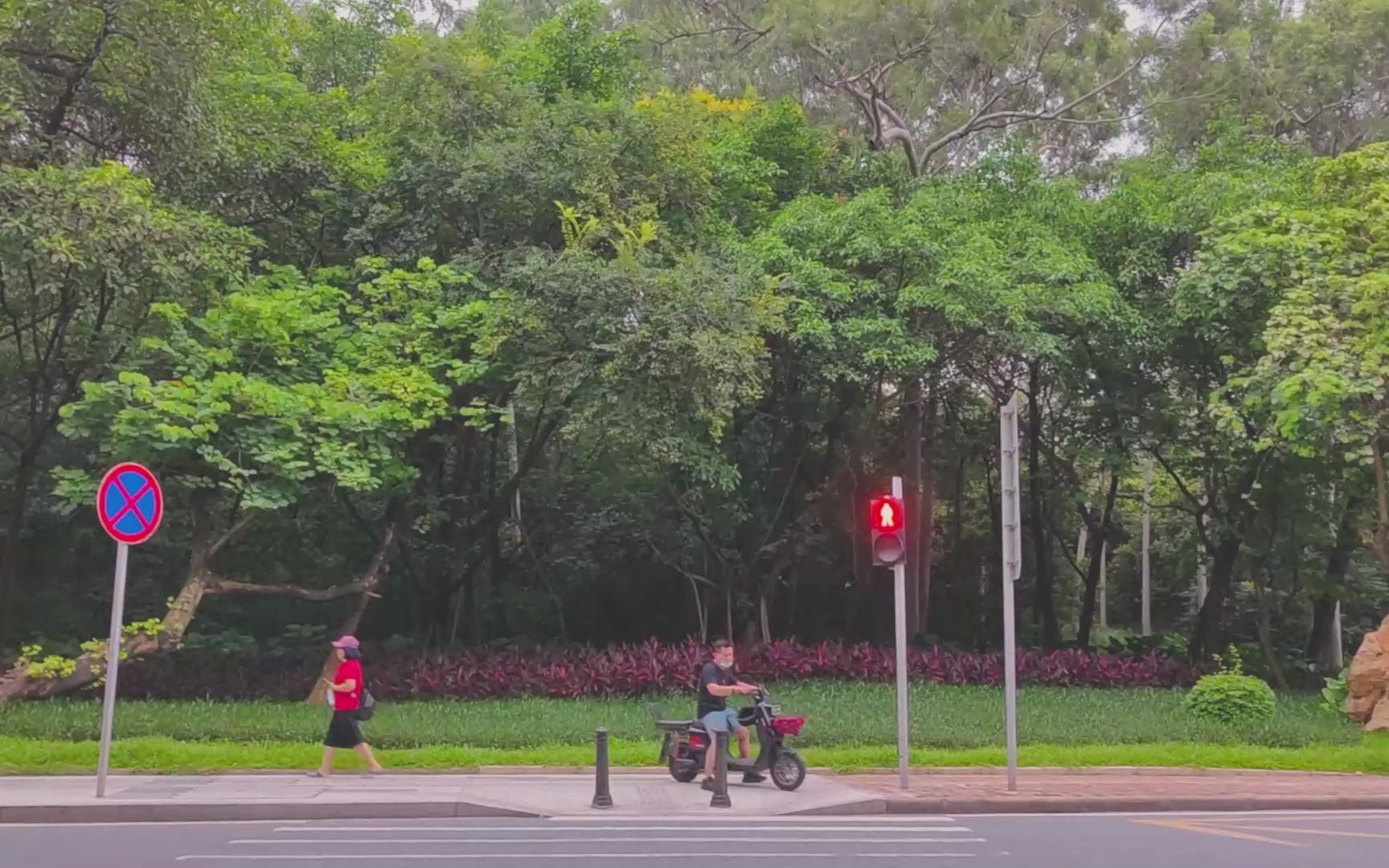 [图]【穿行】白云山下，我骑着共享单车，一路看风景