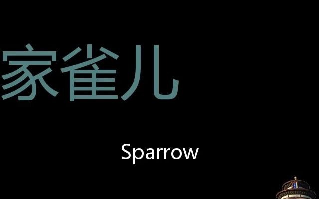 家雀儿 Chinese Pronunciation sparrow哔哩哔哩bilibili