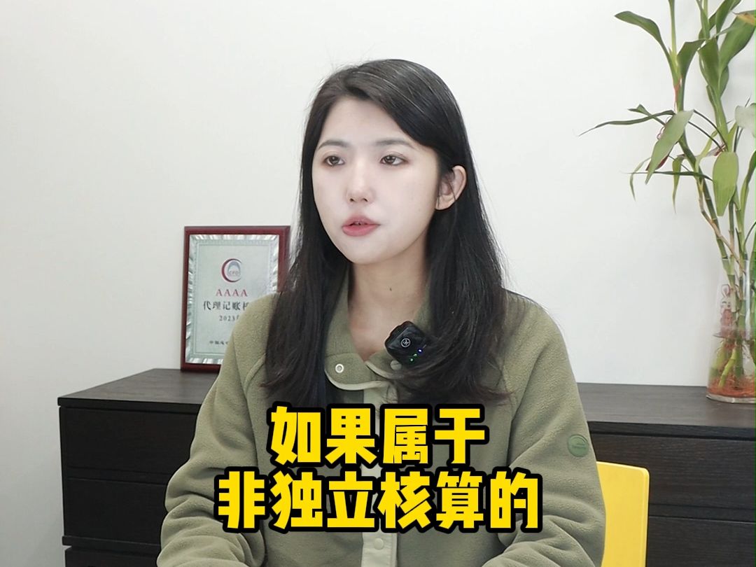 分公司需要填写年报并且公示吗哔哩哔哩bilibili