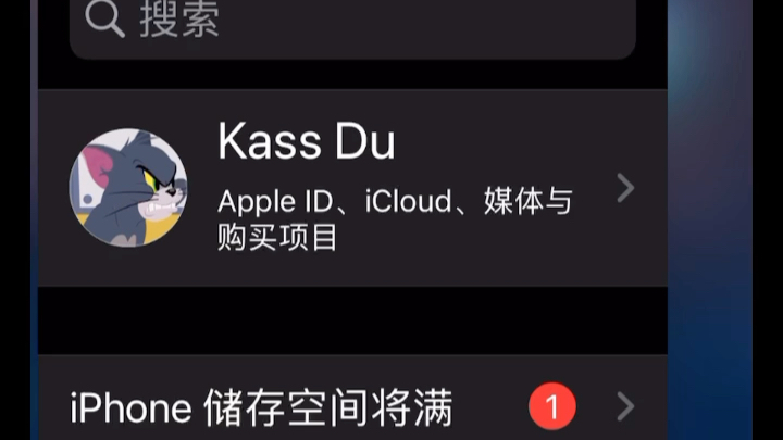 ios 15.3.1储存空间已满bug真让强迫症抓狂哔哩哔哩bilibili