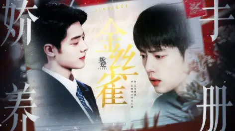 猫咪小乖有点怪的动态-哔哩哔哩