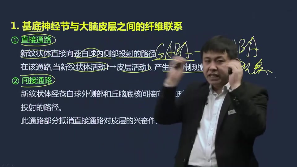 22西综考研隋准生理学精讲基底神经节对运动的调控、小脑的运动调节功能哔哩哔哩bilibili