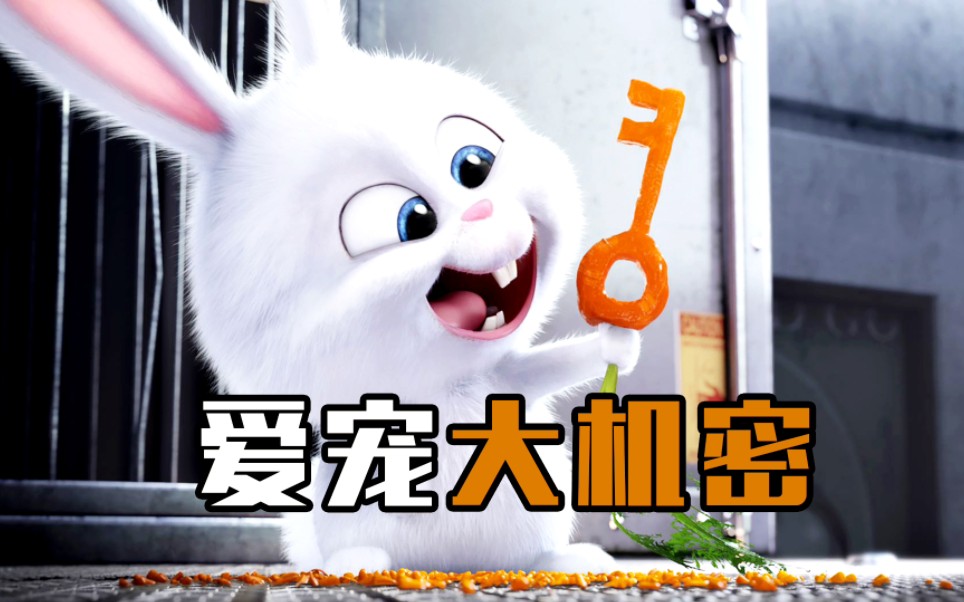 呆萌可爱的小白兔,竟然是动物界的老大