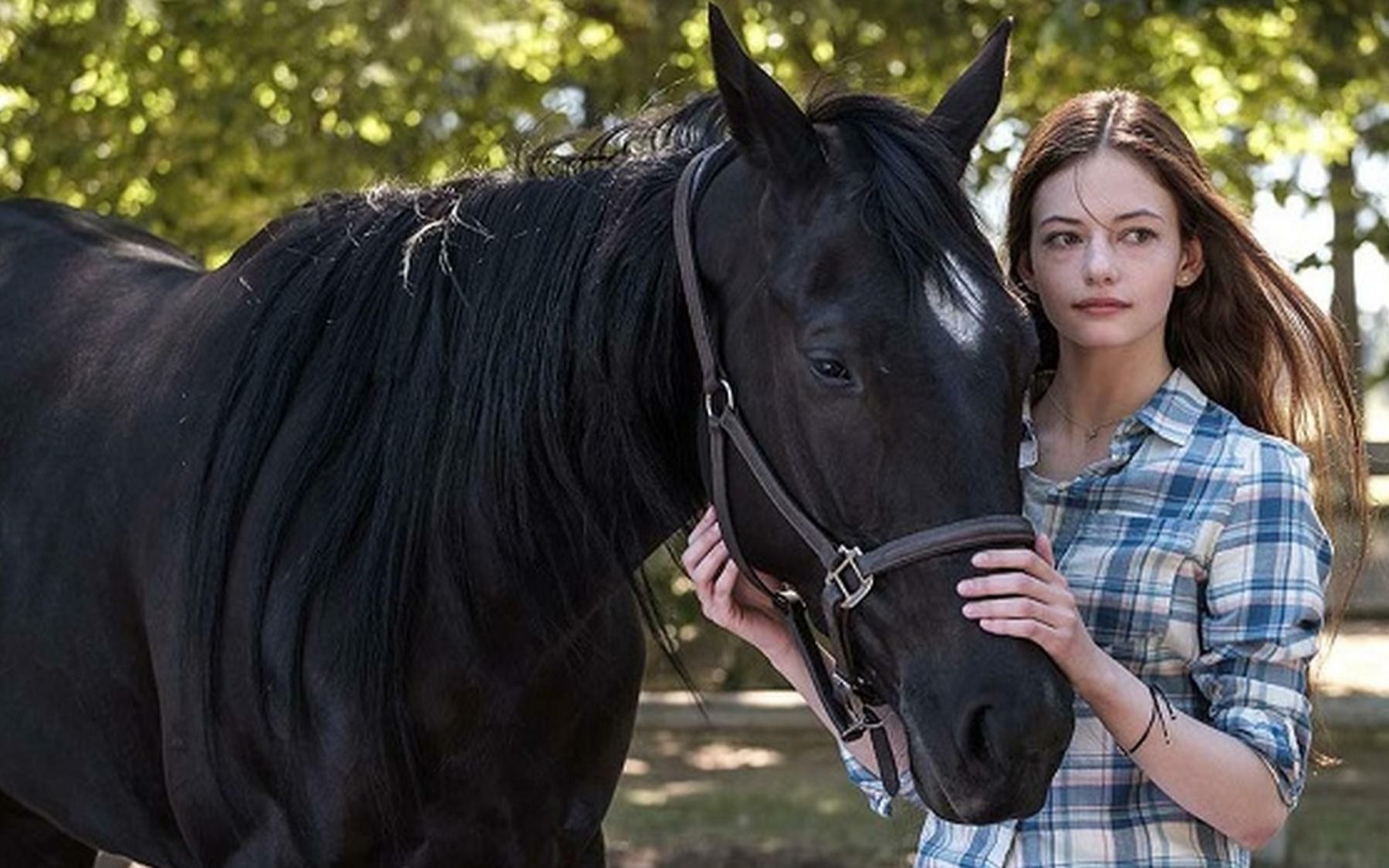 《黑骏马》你拥有人类全部美德,却毫无人类的缺陷【全文有声书】_哔哩