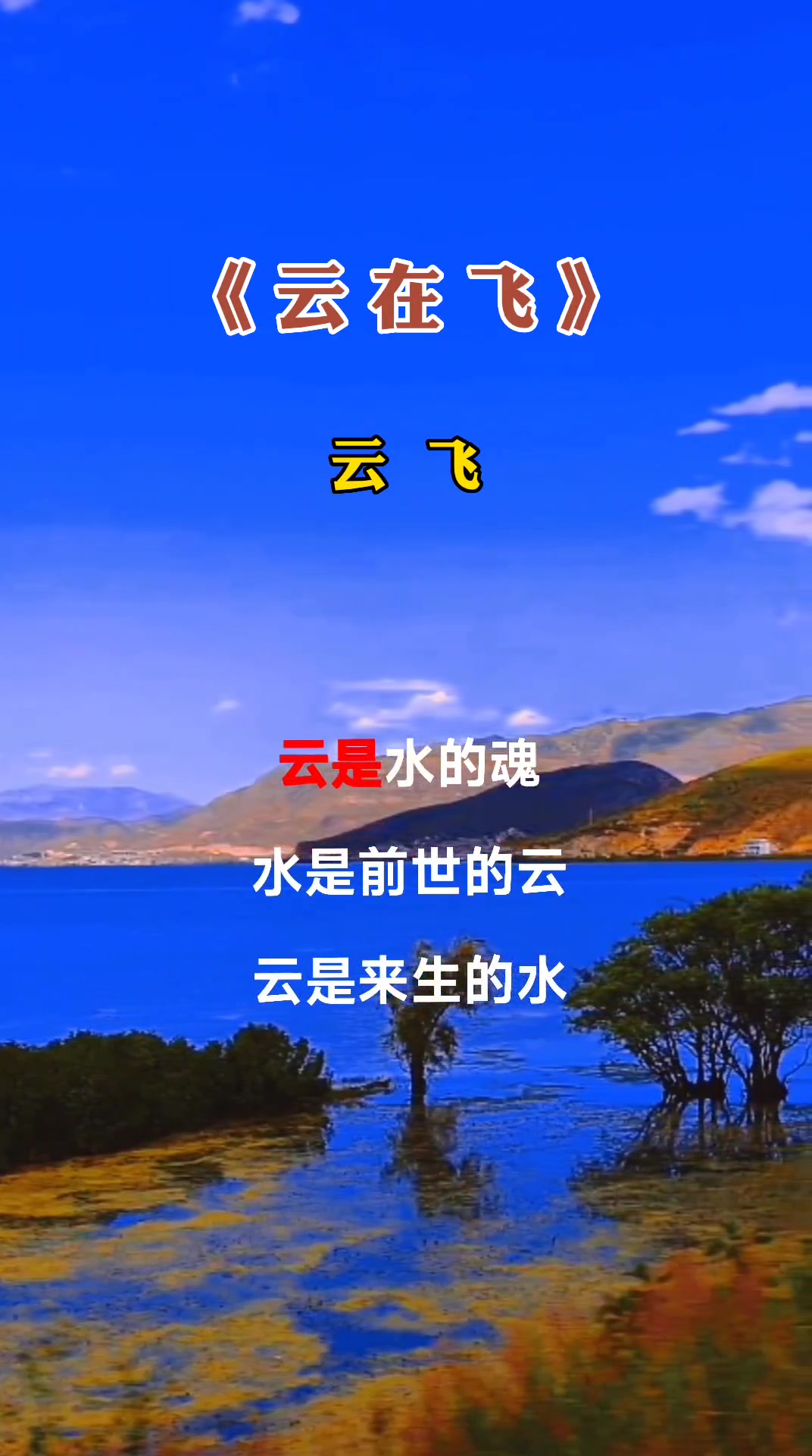 云在飞演唱云飞完整版经典歌曲分享情感音乐欢迎聆听