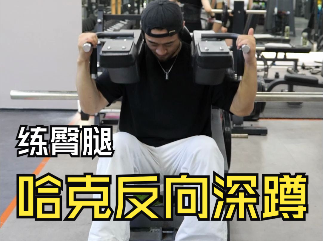【健身小白】哈克机反向深蹲!老王带你练臀腿!