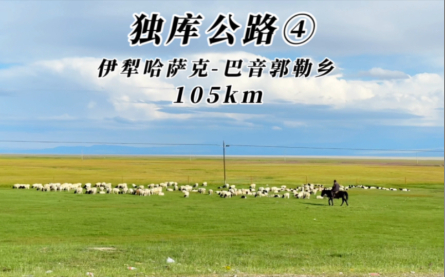 骑行独库公路第4天,伊犁哈萨克自治州巴音郭勒乡,105km.一路草原湿地,美不胜收.哔哩哔哩bilibili