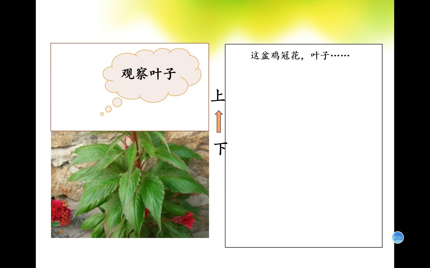 [图]三年级下册 第一单元 我的植物朋友