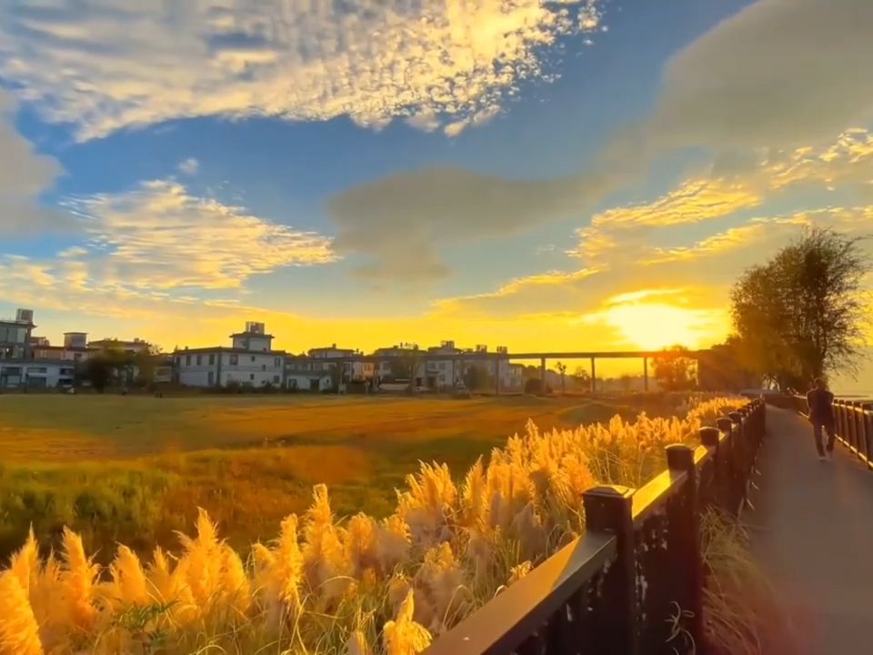 朱之文 - 我要回家 (live)高音质 伴奏