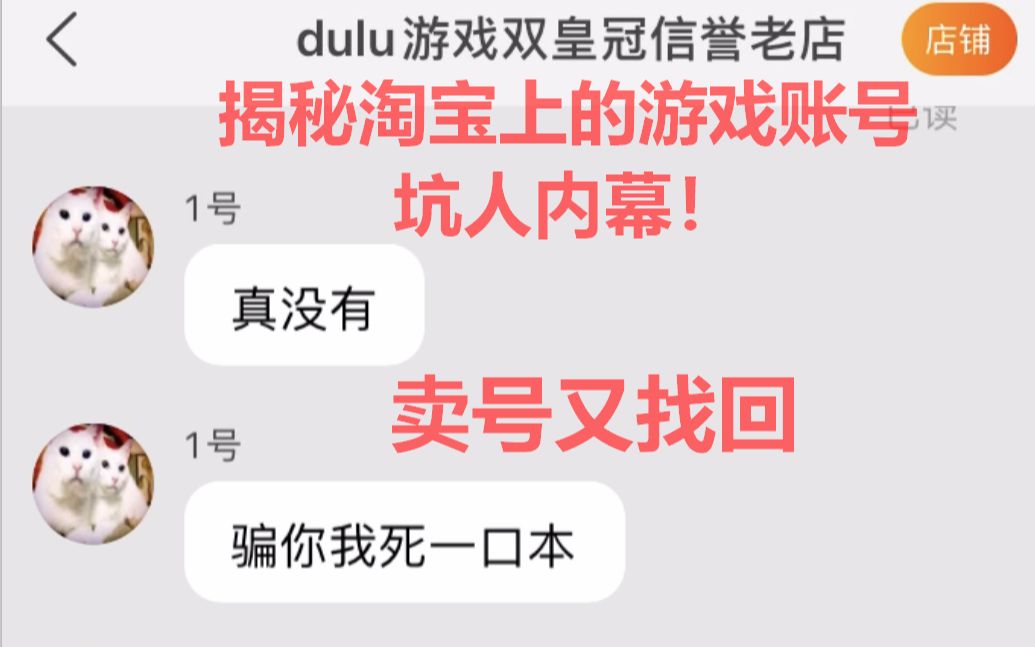 在淘宝购买充值2w的账号被卖家找回,带你测测淘宝平台的水深哔哩哔哩bilibili