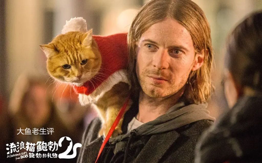 大鱼老生评电影流浪猫鲍勃2谢谢你带给世界的美好