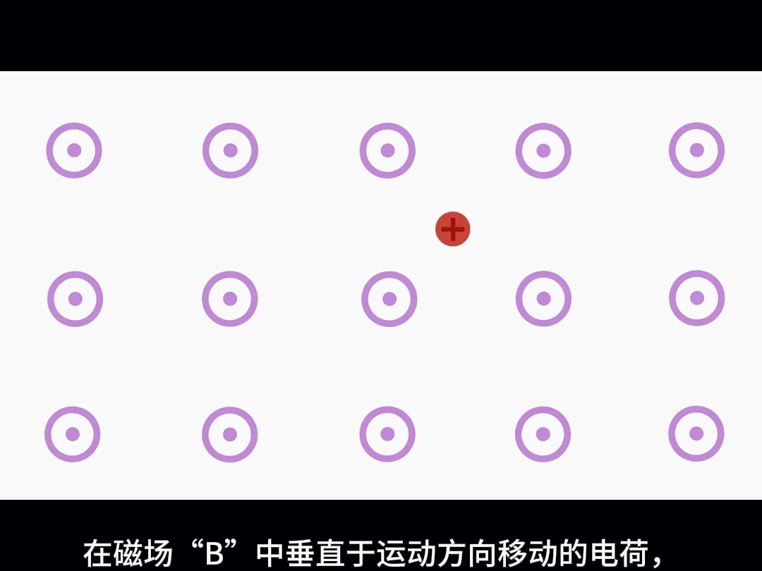 一分钟告诉你#电场 和#磁场 的区别#科学高光故事集哔哩哔哩bilibili