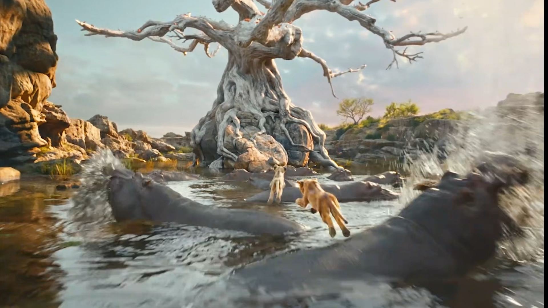 原来刀疤黑化前是王子,木法沙曾是他最好的兄弟!