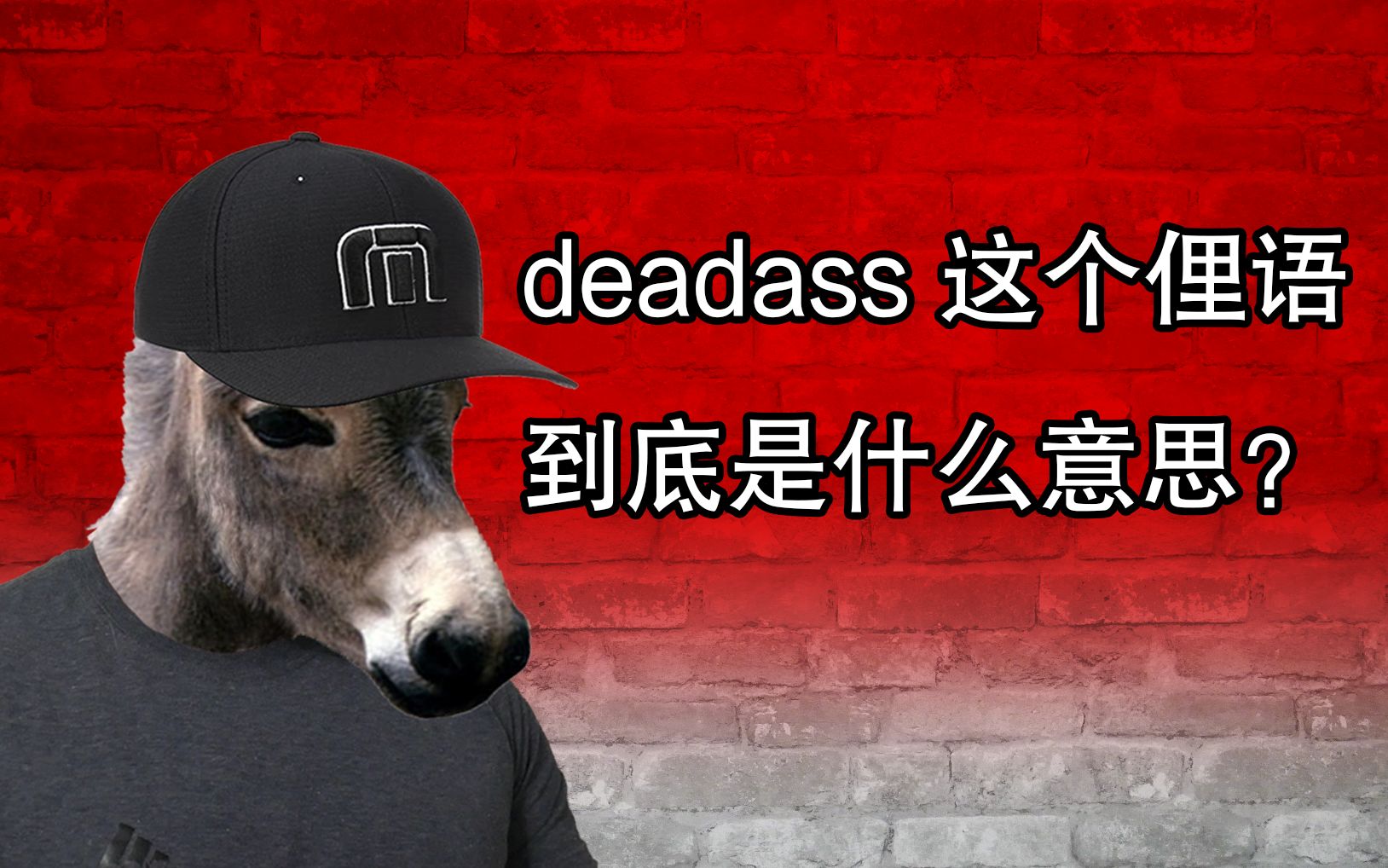 deadass 这个俚语到底是什么意思?哔哩哔哩bilibili